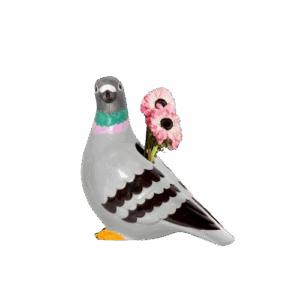 VASE PIGEON