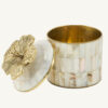 Hailey-Hibiscus-Shell-Circus-Box-Doing-Goods-1.20.21.036.002.5-White-Detail-off-white-web