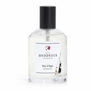 Vaporisateurs d'Ambiance 100ml – GEODESIS
